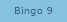 Bingo 9